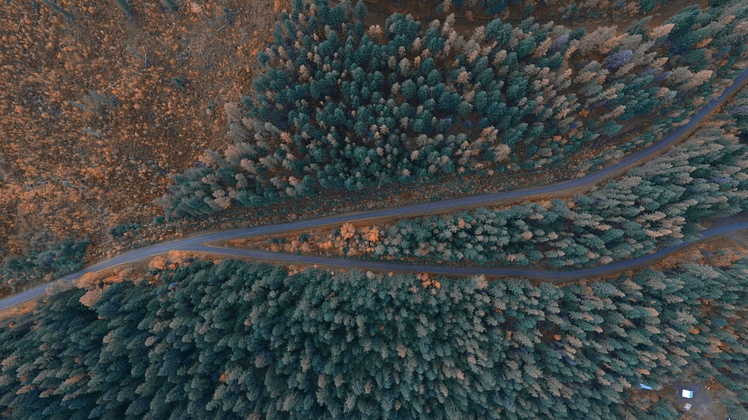 Freight & Logistics Services in the Okanagan Valley